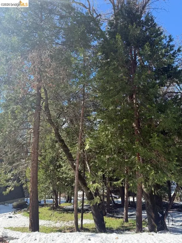 21730 Wasatch Mountain Rd, Sonora, CA 95370