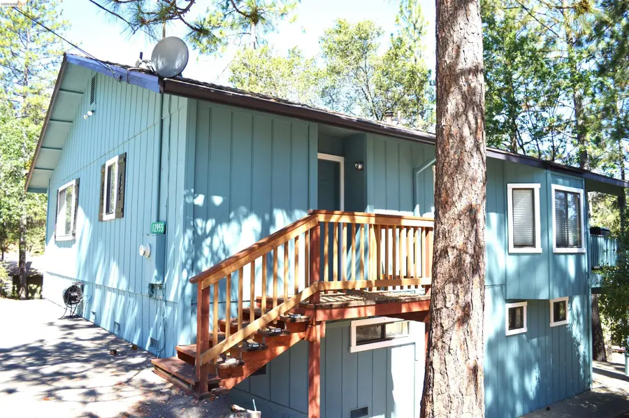 12955 Jackson Mill Drive, Groveland, CA 95321 - #3