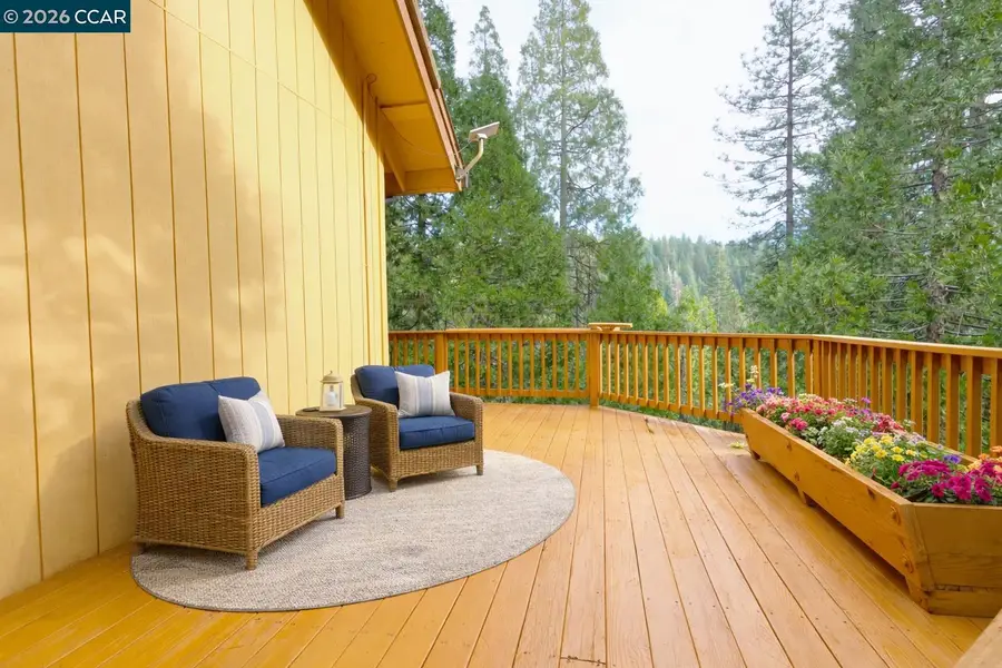 26625 Cedar Ave, Pioneer, CA 95666 - #3