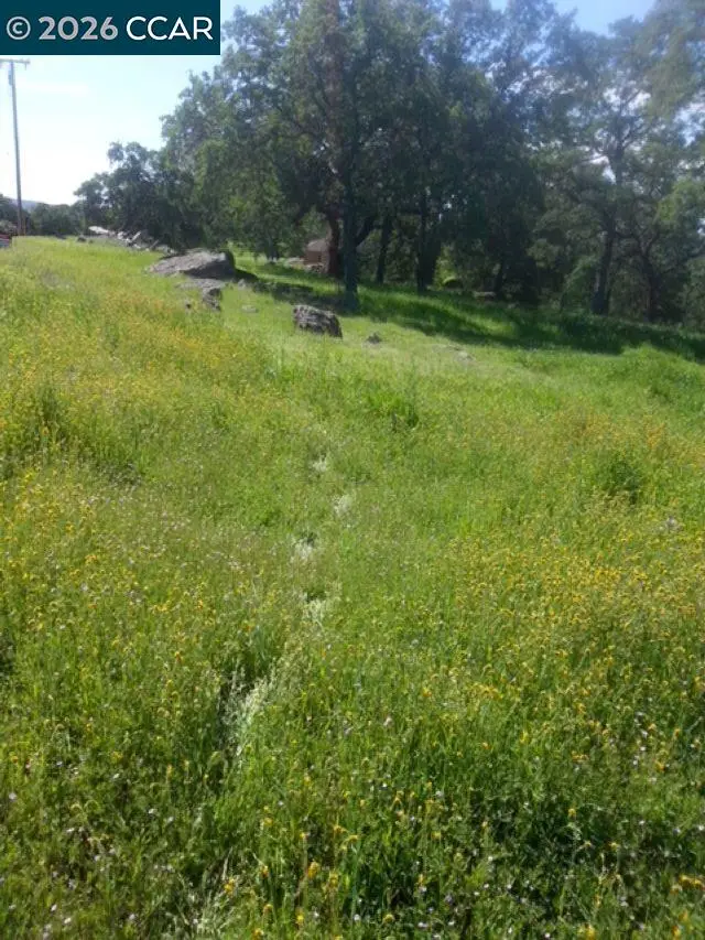 56 Deer Hollow Trail, Browns Valley, CA 95918 - #1