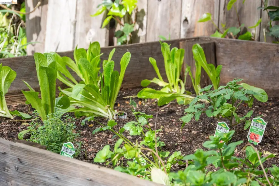 3316 Harrison St, Oakland, CA 94611 - #3