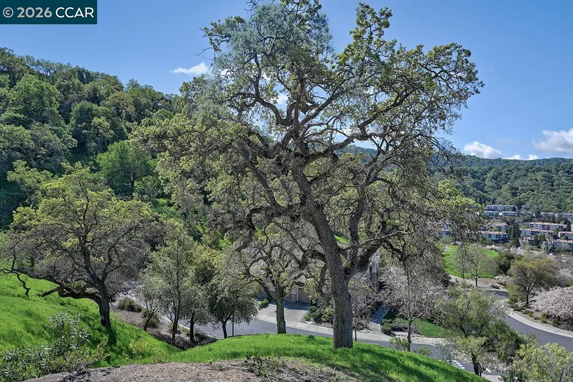 539 High Eagle Ct, Walnut Creek, CA 94595 - #1