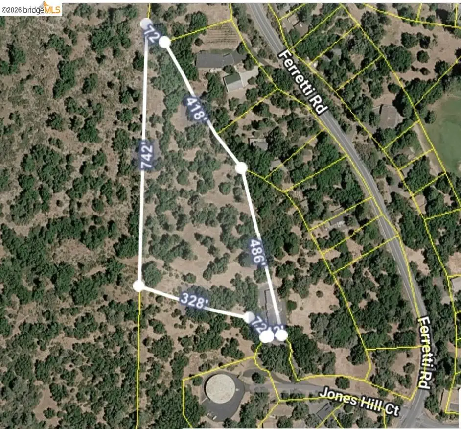 19071 Jones Hill Ct, Groveland, CA 95321 - #1