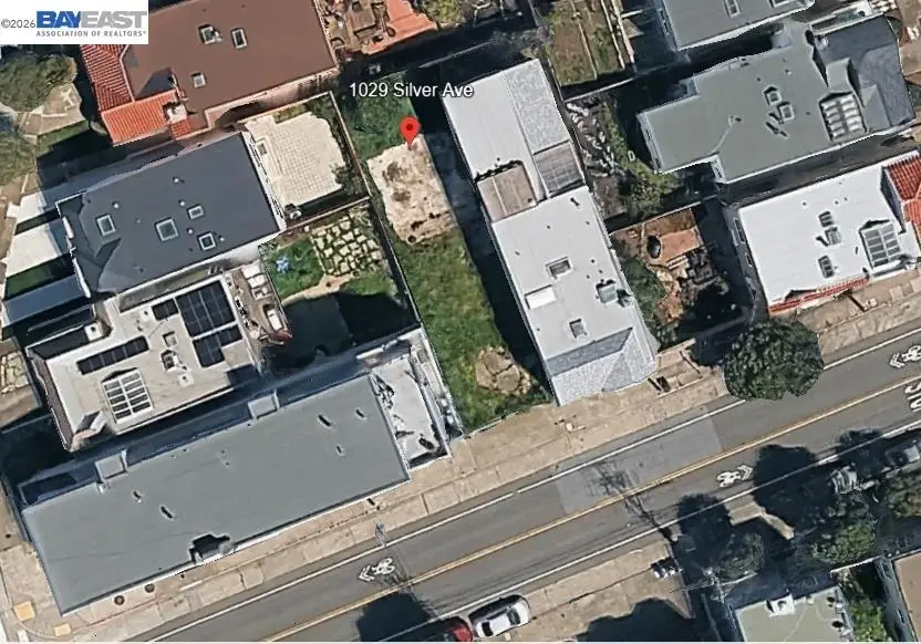 1029 Silver Ave, San Francisco, CA 94134 - #1