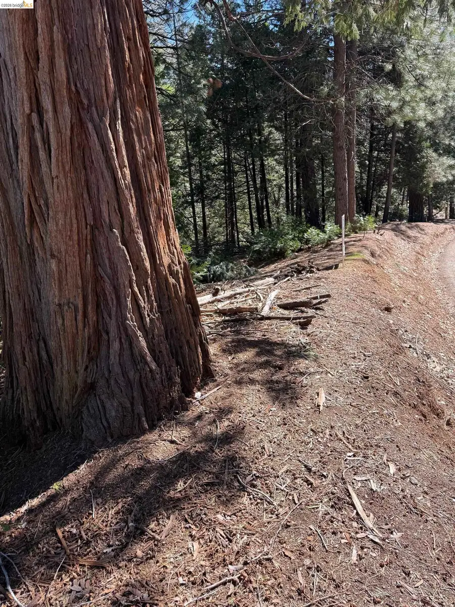 000 Lot 498 Oxbow Lane N, Sonora, CA 95370 - #2
