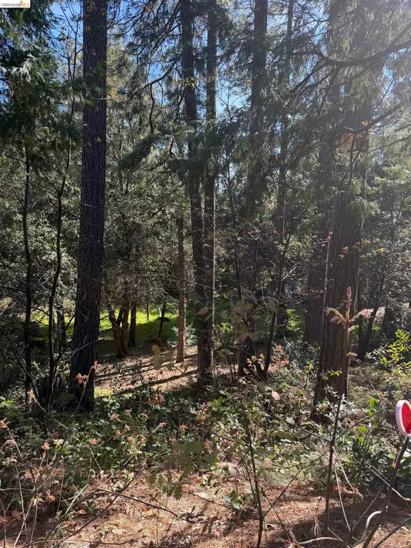 Address Withheld By Seller, Murphys, CA 95247