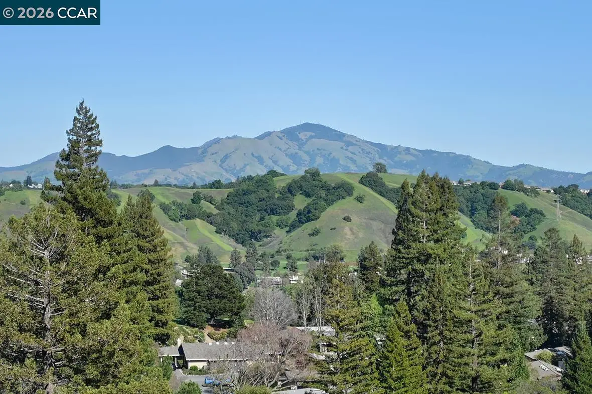 3318 Ptarmigan Dr #3C, Walnut Creek, CA 94595 - #1