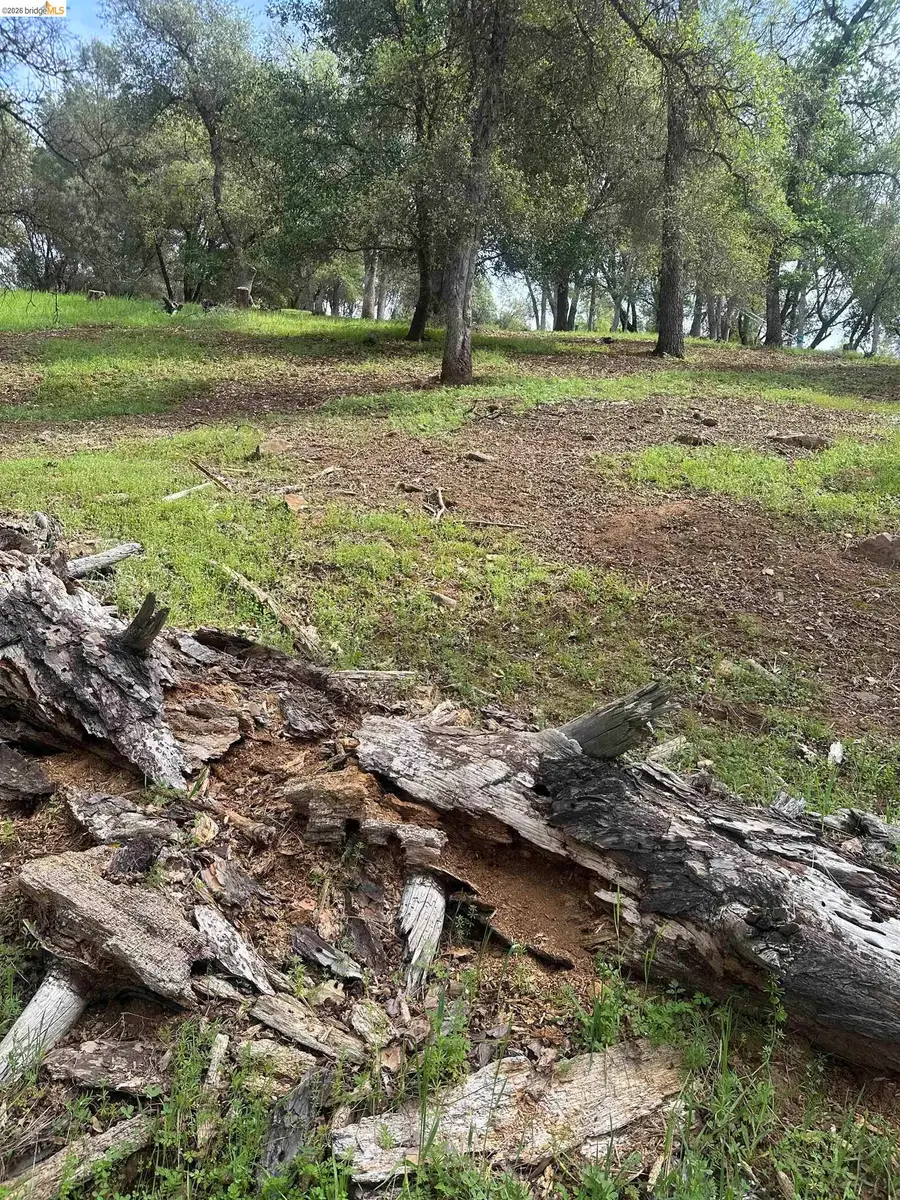 3-154 Boitano Rd, Groveland, CA 95321 - #3