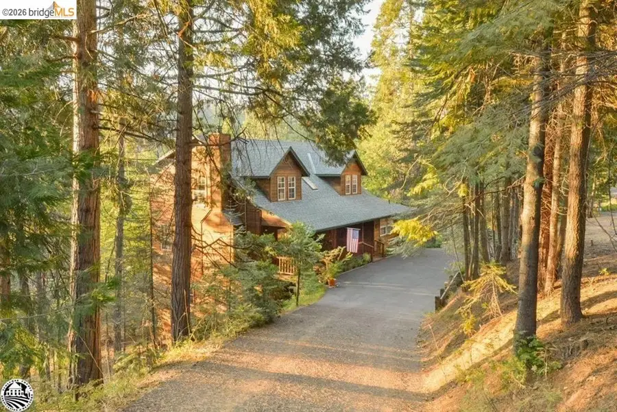 23820 Pine Lake Dr, Twain Harte, CA 95383 - #2