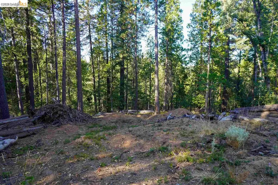 169 Canyon View, Hathaway Pines, CA 95233 - #3