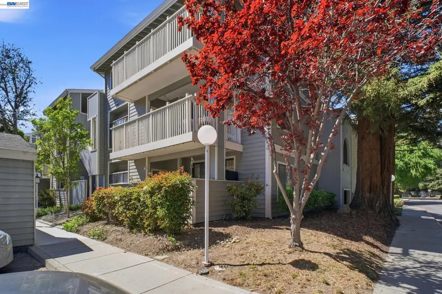3395 Pinewood Ter #304, Fremont, CA 94536 - #2