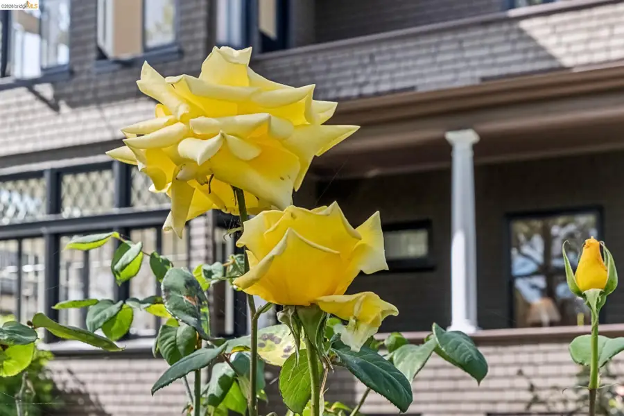 1715 Oakland Ave, Piedmont, CA 94611 - #3