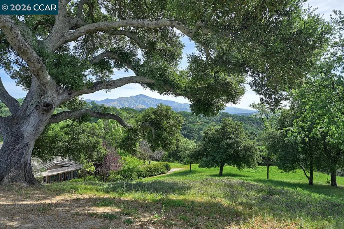 532 Spotted Owl Ct, Walnut Creek, CA 94595 - #1