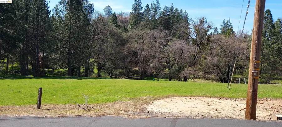 19808 Cottonwood St, Groveland, CA 95321 - #2