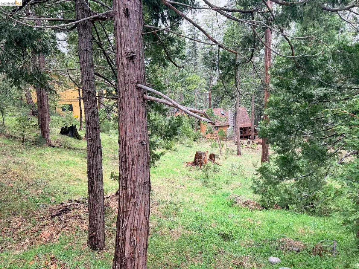 20681 Chief Fuller Way, Mi Wuk Village, CA 95346 - #1