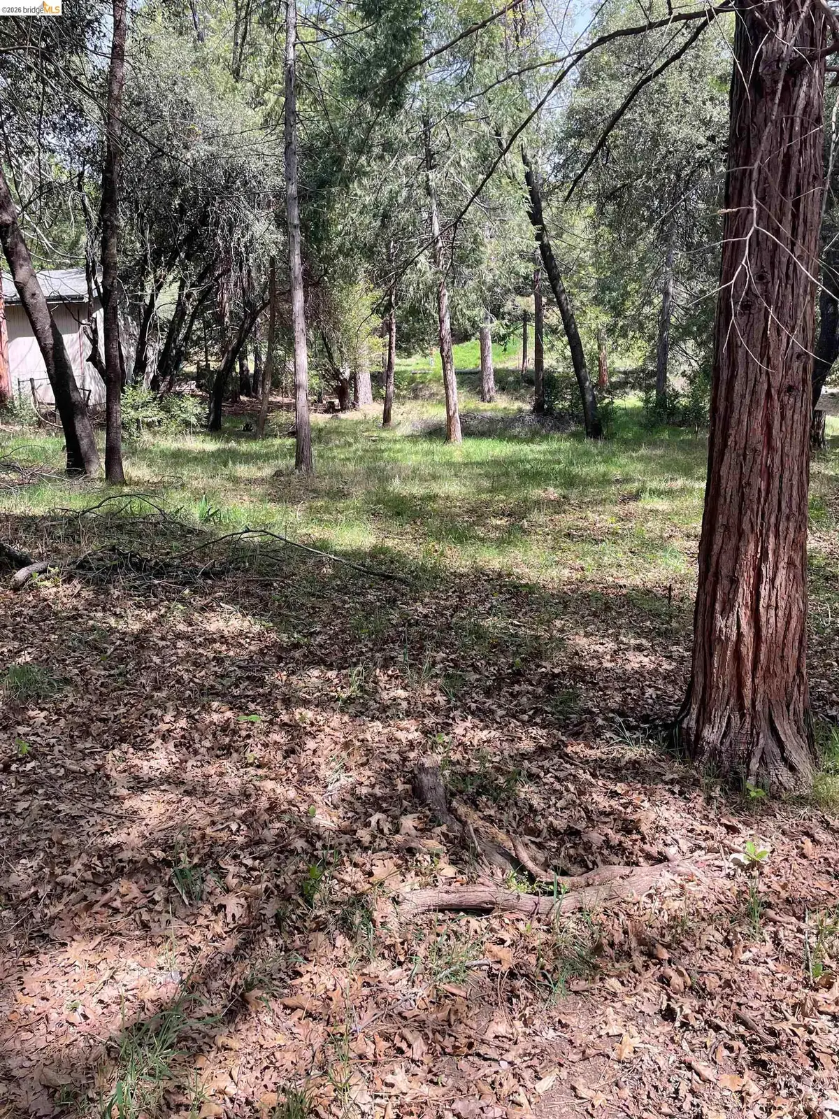 16594 Creekside Dr, Sonora, CA 95370 - #1