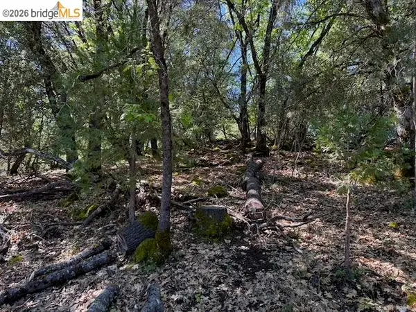 21344 Green Meadow Ln, Sonora, CA 95370