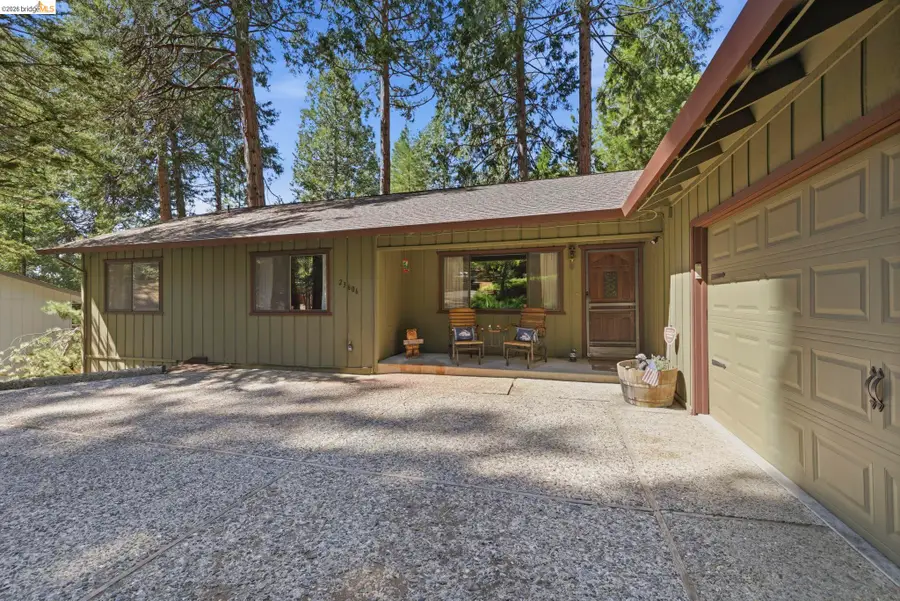 23606 Ontario Dr, Twain Harte, CA 95383 - #3