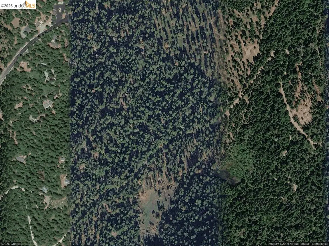 27901 Salt Springs Rd, Pioneer, CA 95666 - #1