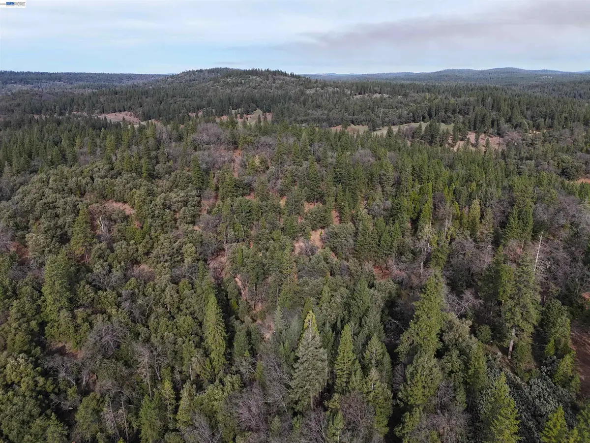 4700 Kelley Pl, Garden Valley, CA 95633 - #1