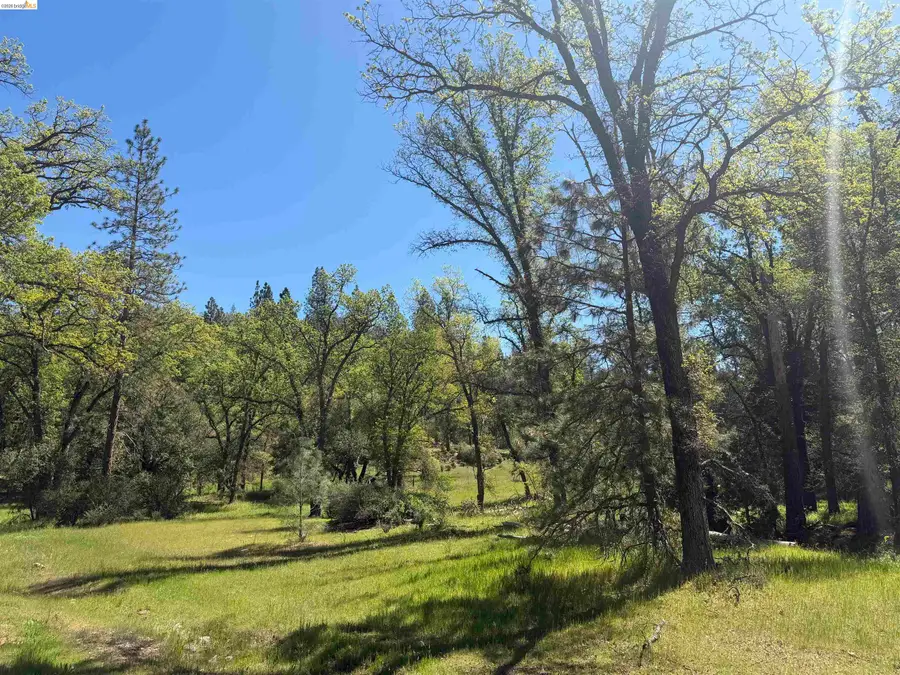 Address Withheld By Seller, Groveland, CA 95321 - #2