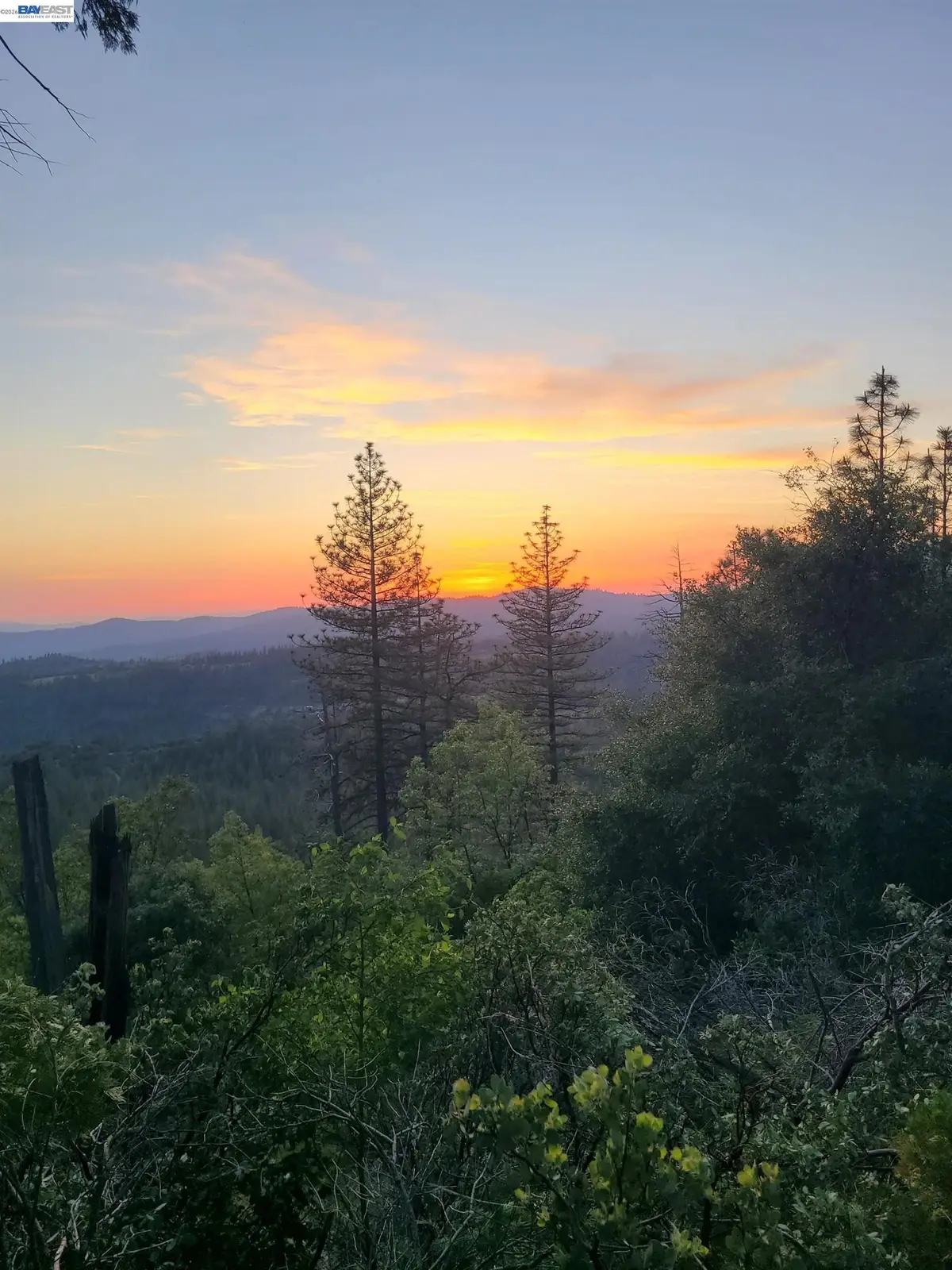 20800 Mount Provo Road, Twain Harte, CA 95383 - #1