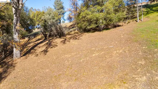 13212 Mohrmann St, Groveland, CA 95321