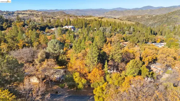 19291 Ferretti Rd, Groveland, CA 95321