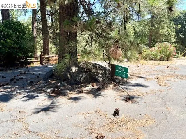 19364 Ferretti Rd, Groveland, CA 95321 - #2