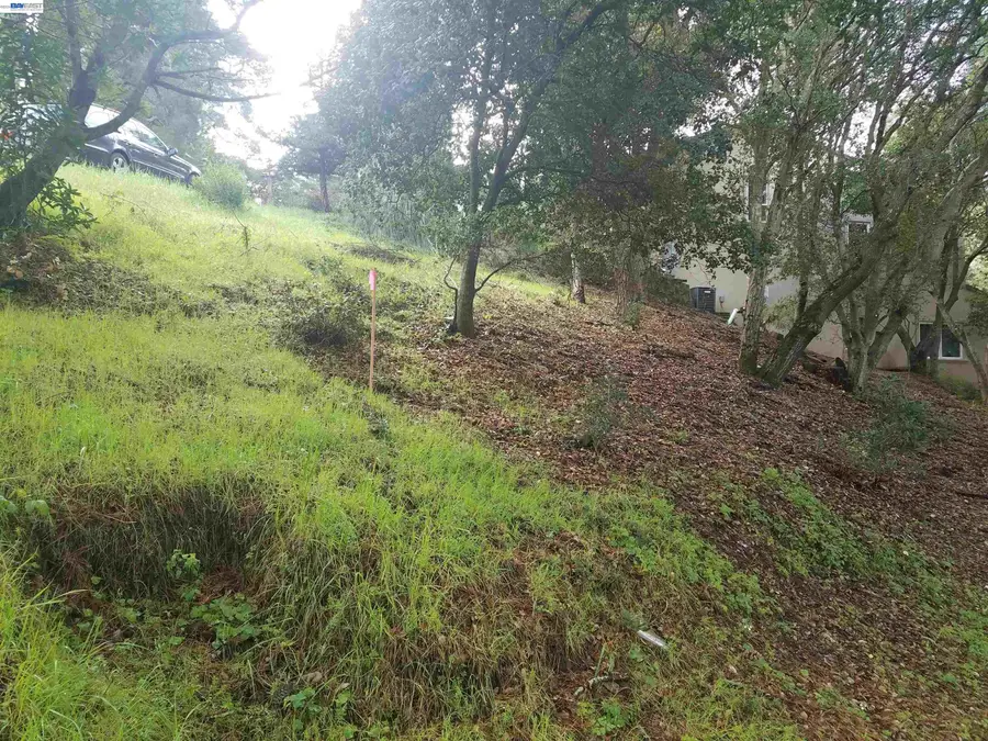 12 Vista Del Orinda, Orinda, CA 94563 - #2