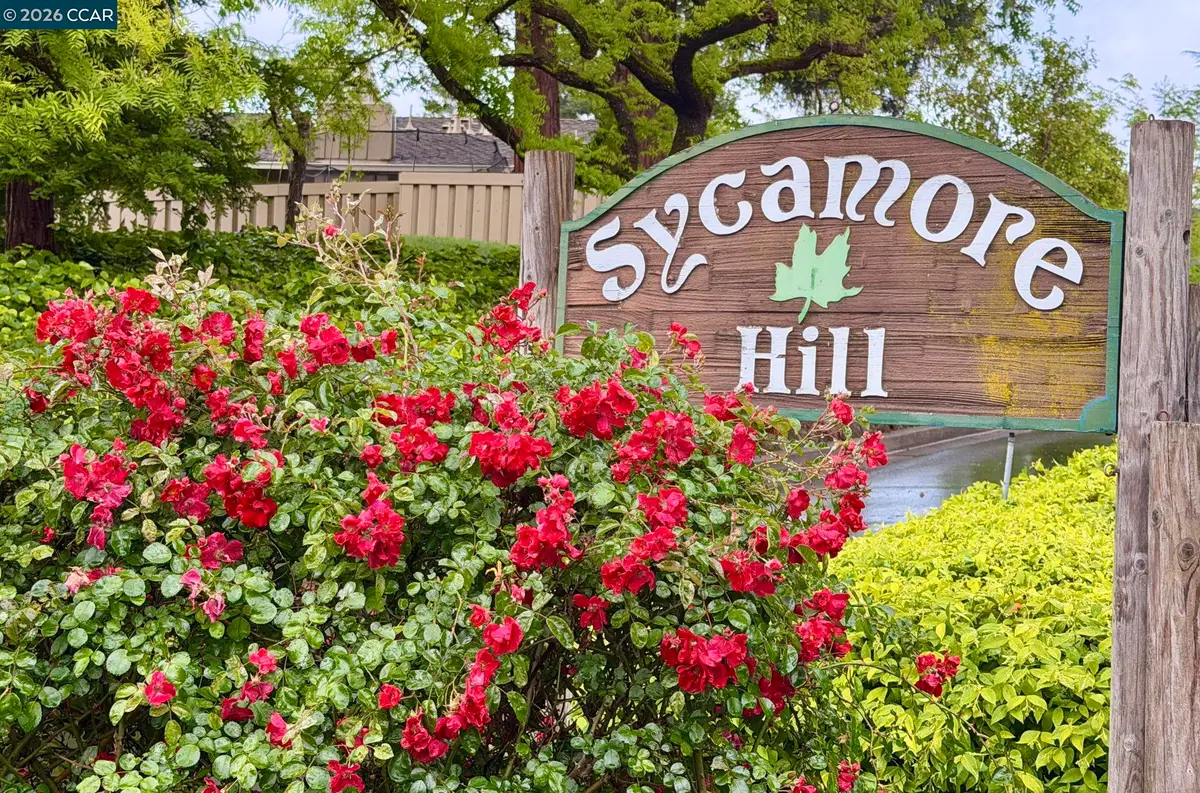 327 Sycamore Hill Ct, Danville, CA 94526 - #1