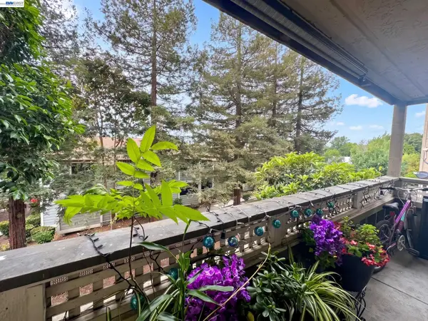 29599 Vanderbilt St #204, Hayward, CA 94544