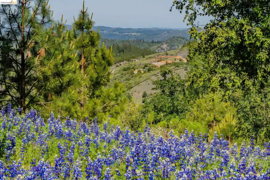6161 Fullen Road, Murphys, CA 95247 - #3