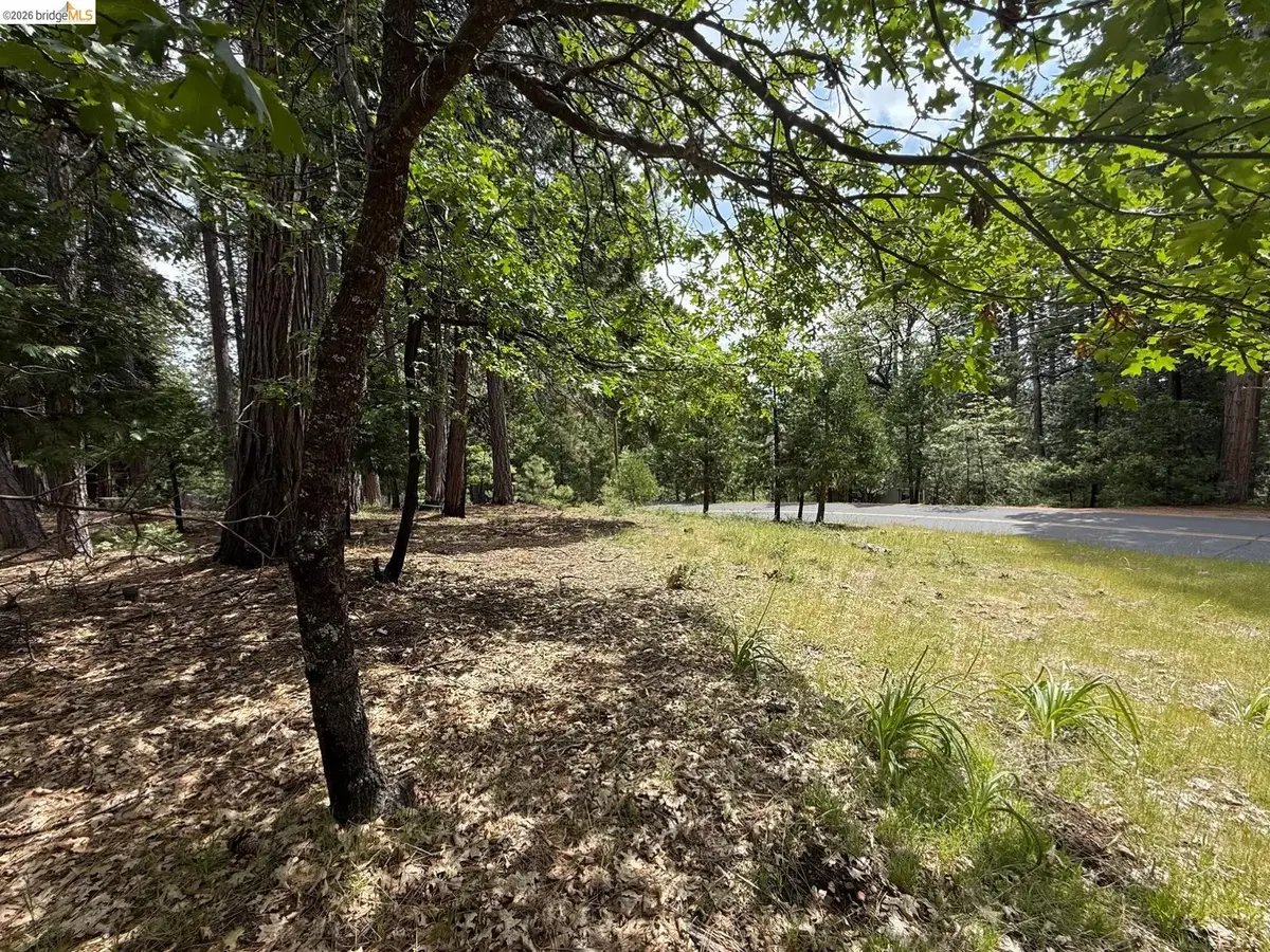 2640 Fairway Drive, Arnold, CA 95223 - #1