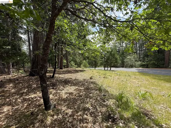 2640 Fairway Drive, Arnold, CA 95223