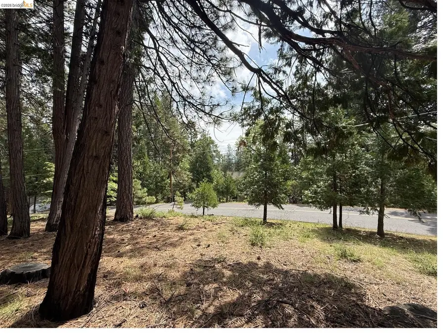 2640 Fairway Drive, Arnold, CA 95223 - #3