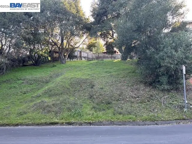 Morse Ave, Hayward, CA 94542 - #2