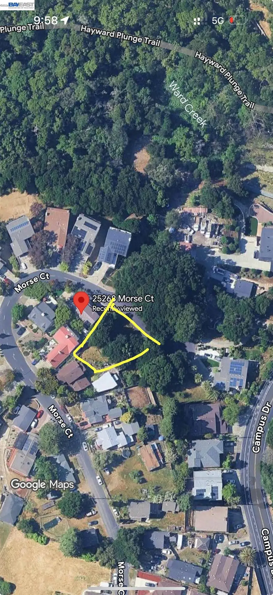 Morse Ave, Hayward, CA 94542 - #3