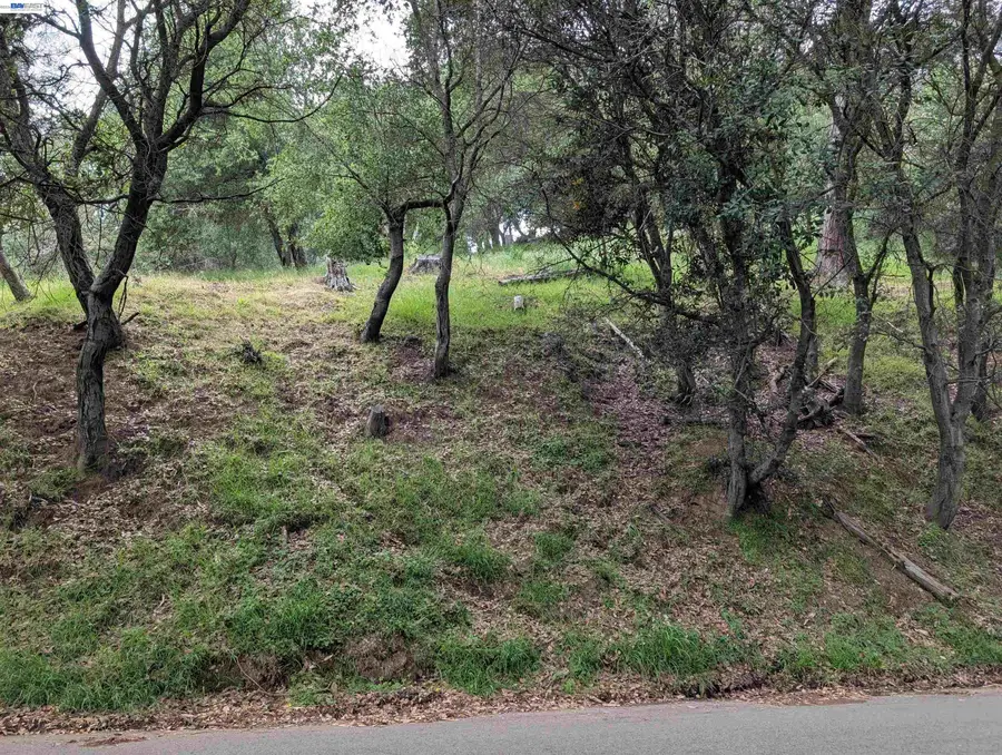 000 Girvin Drive, Oakland, CA 94603 - #2
