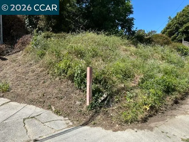 5229 Macarthur Blvd, Oakland, CA 94619 - #1