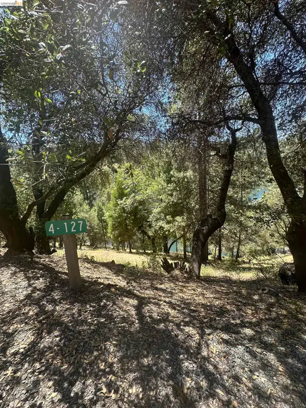 4-127 Pine Mountain Dr, Groveland, CA 95321
