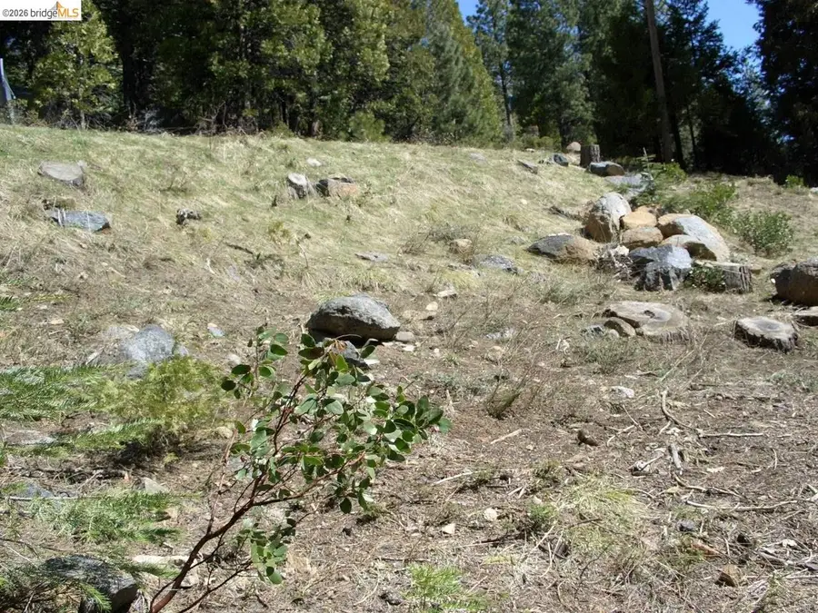 29733 Kerns Drive Lot 441, Cold Springs, CA 95335 - #3