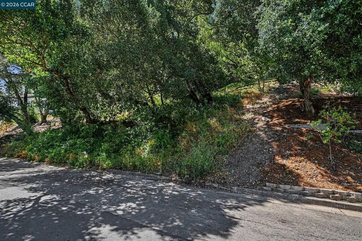46 Oak Rd, Orinda, CA 94563 - #1