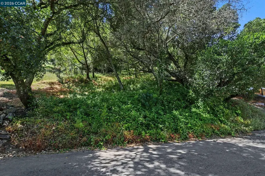 46 Oak Rd, Orinda, CA 94563 - #2