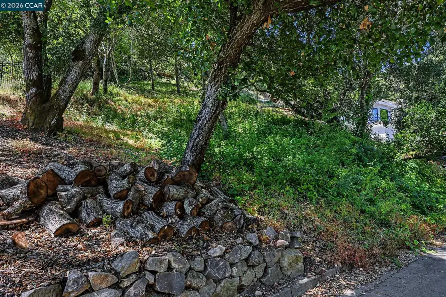 46 Oak Rd, Orinda, CA 94563 - #3