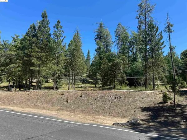 18935 Ferretti Road, Groveland, CA 95321