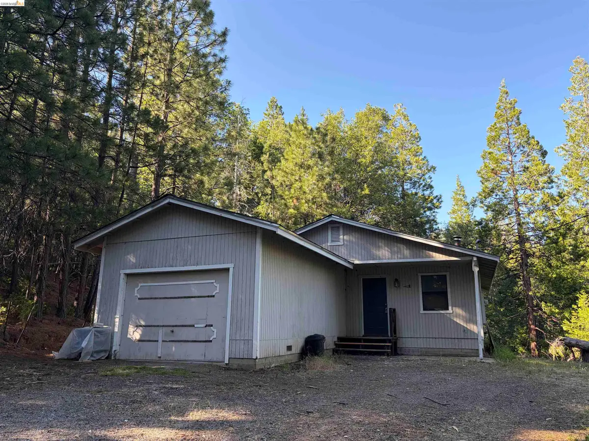 23490 Old Mueli Trl, Twain Harte, CA 95383 - #1