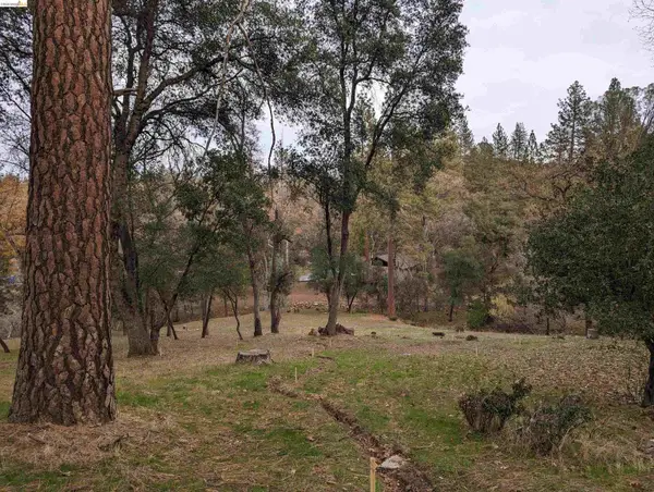 19059 Crocker Station, Groveland, CA 95321