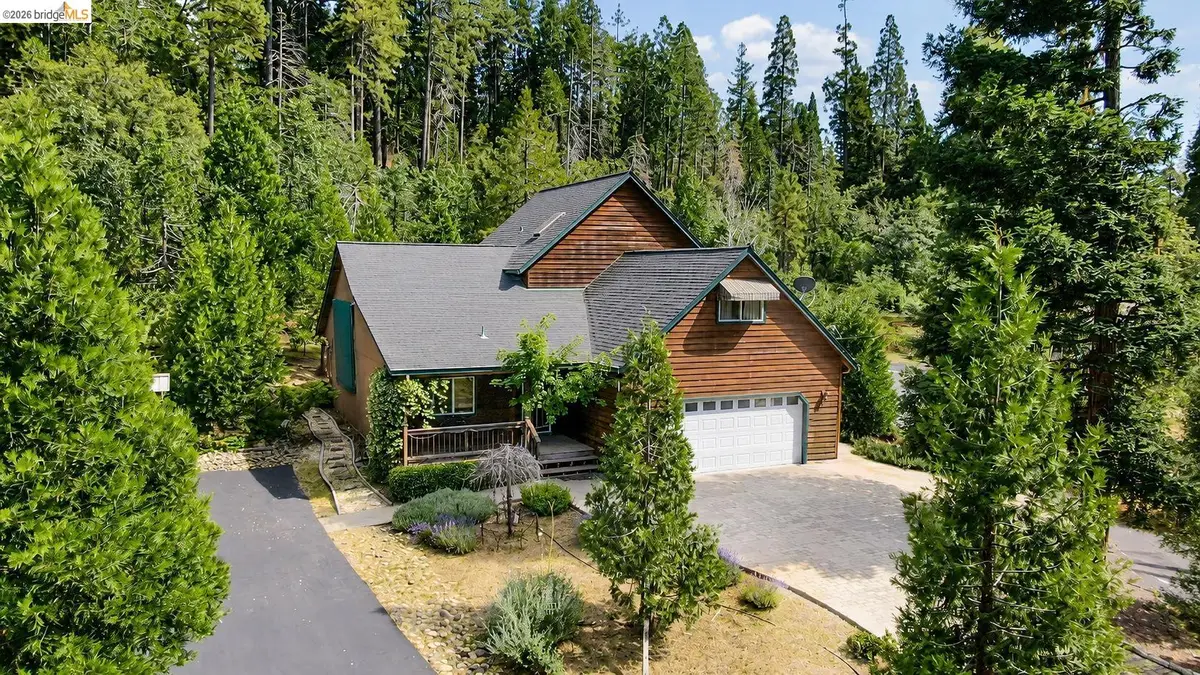 22401 Ridge Road, Twain Harte, CA 95383 - #1
