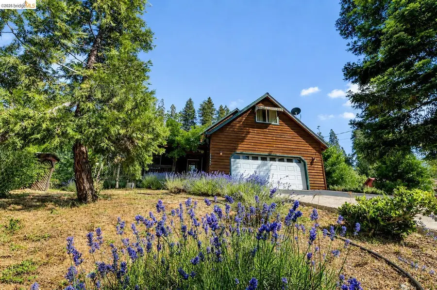 22401 Ridge Road, Twain Harte, CA 95383 - #2